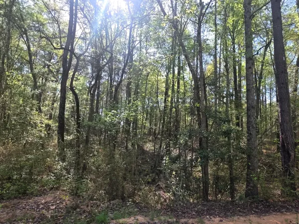 $15,900 | 102 St Gibson Ga 30810, Mitchell, GA 30820