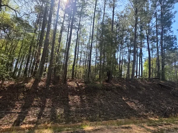 $15,900 | 102 St Gibson Ga 30810, Mitchell, GA 30820