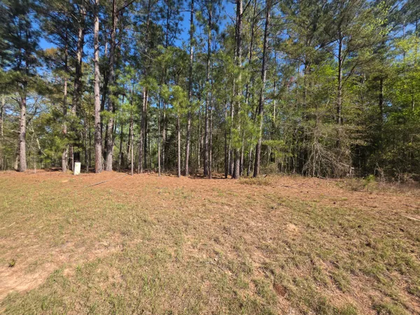 $15,900 | 102 St Gibson Ga 30810, Mitchell, GA 30820