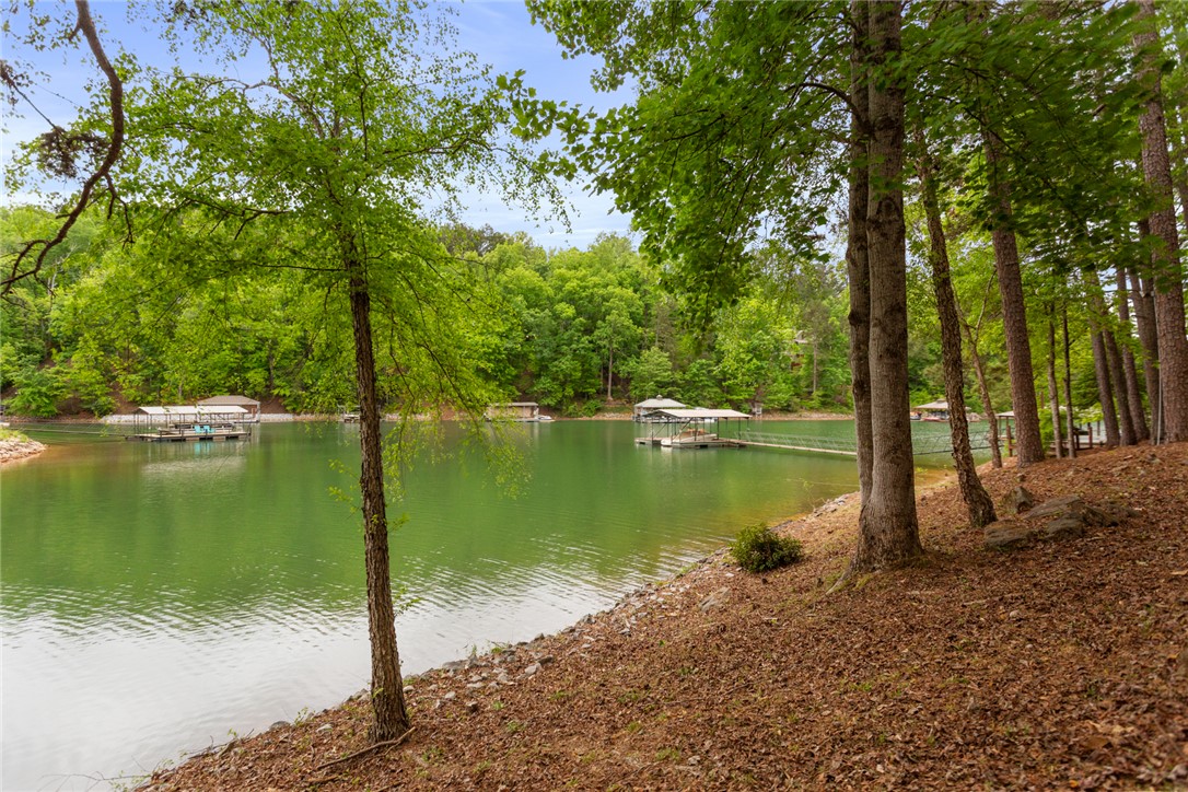 5 High Tide Court Salem, SC 29676 - Photo 28 of 40 This tranquil waterfront setting offers private docks and lush surroundings, perfect for serene lakeside living.