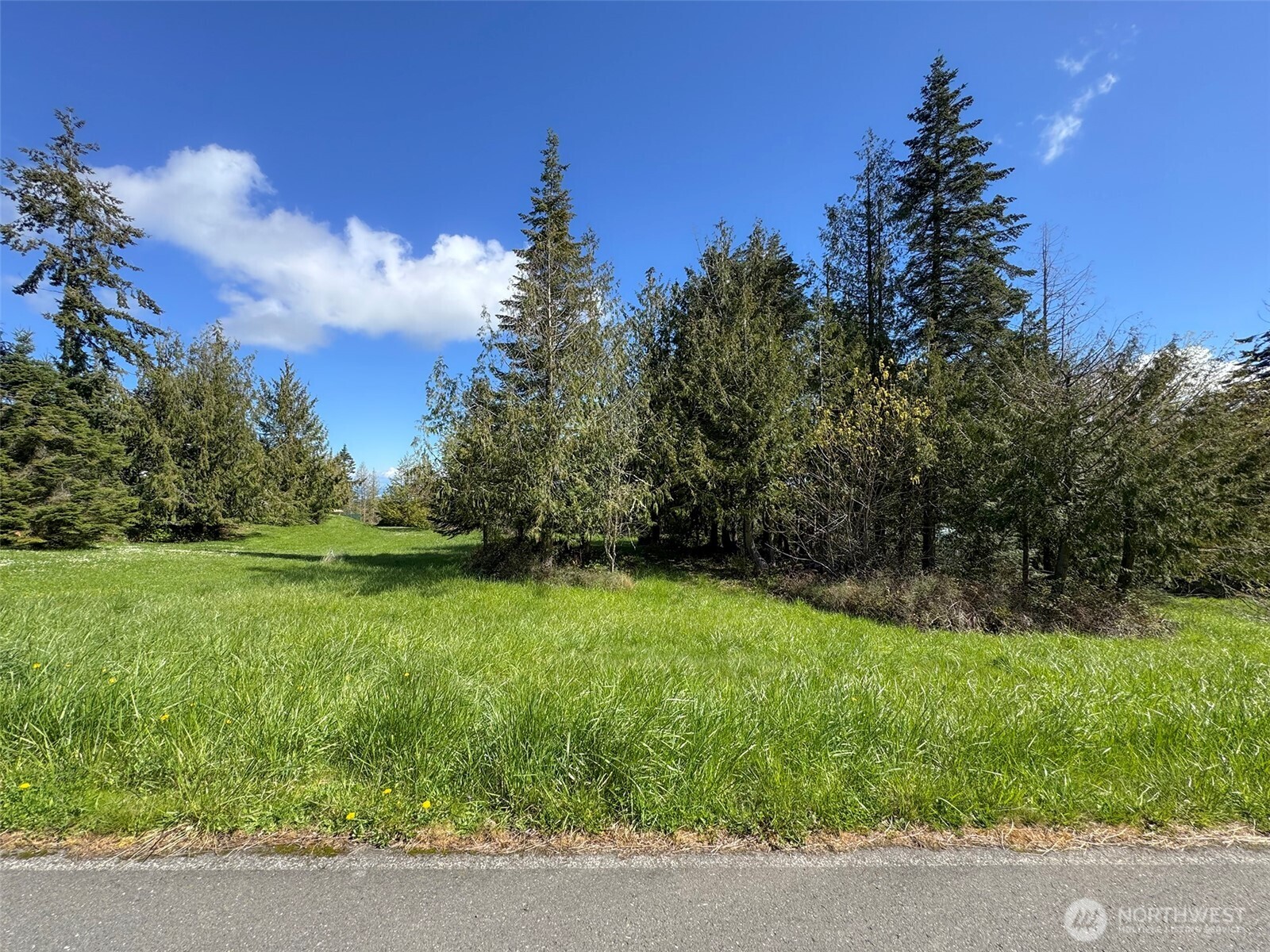 9999 Elk Pass Road Sequim, WA 98382 - Photo 9 of 40