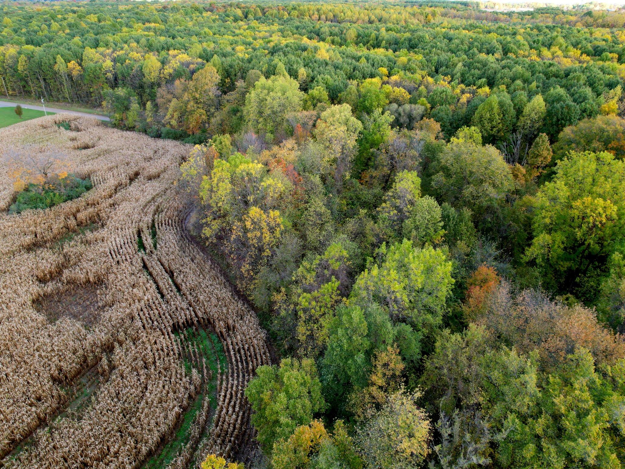 0 Herman Road Berrien Springs, MI 49103 - Photo 13 of 22 Herman Road Farm 41