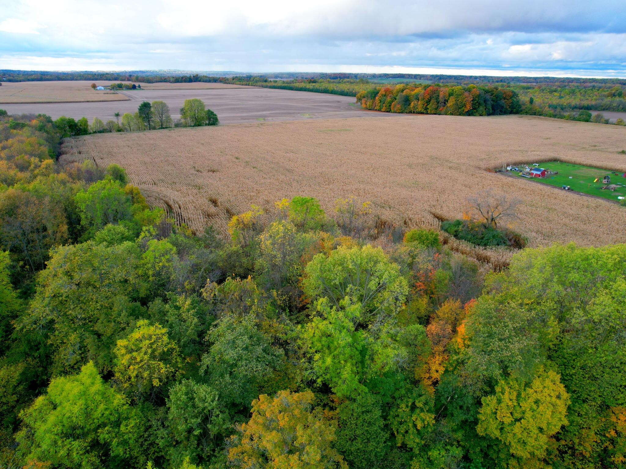 0 Herman Road Berrien Springs, MI 49103 - Photo 14 of 22 Herman Road Farm 46