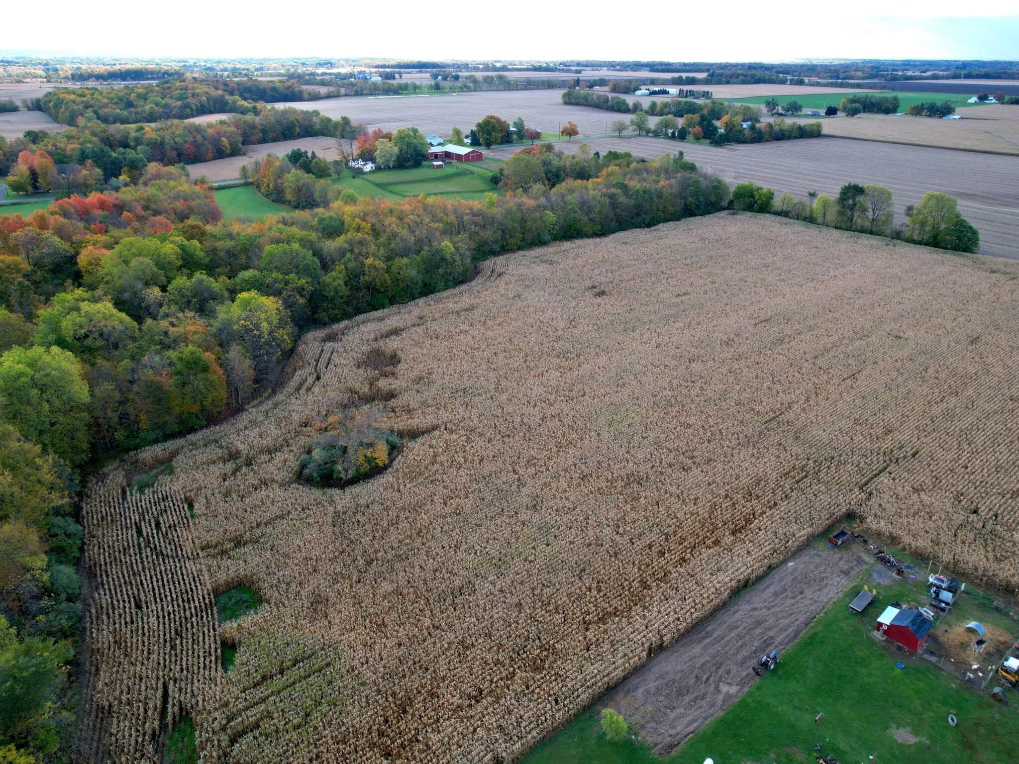 0 Herman Road Berrien Springs, MI 49103 - Photo 15 of 22 Herman Road Farm 52