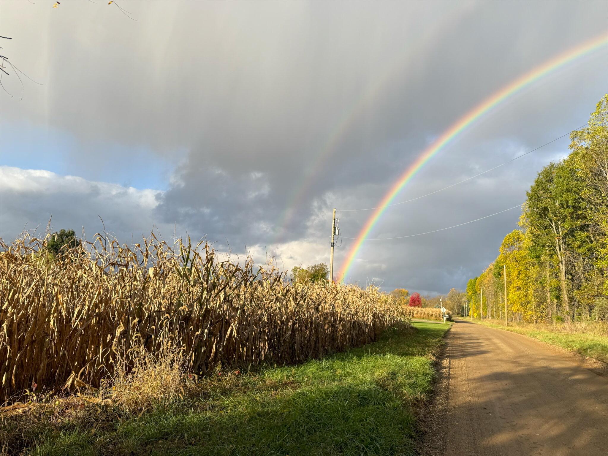 0 Herman Road Berrien Springs, MI 49103 - Photo 19 of 22 Herman Road Farm 53