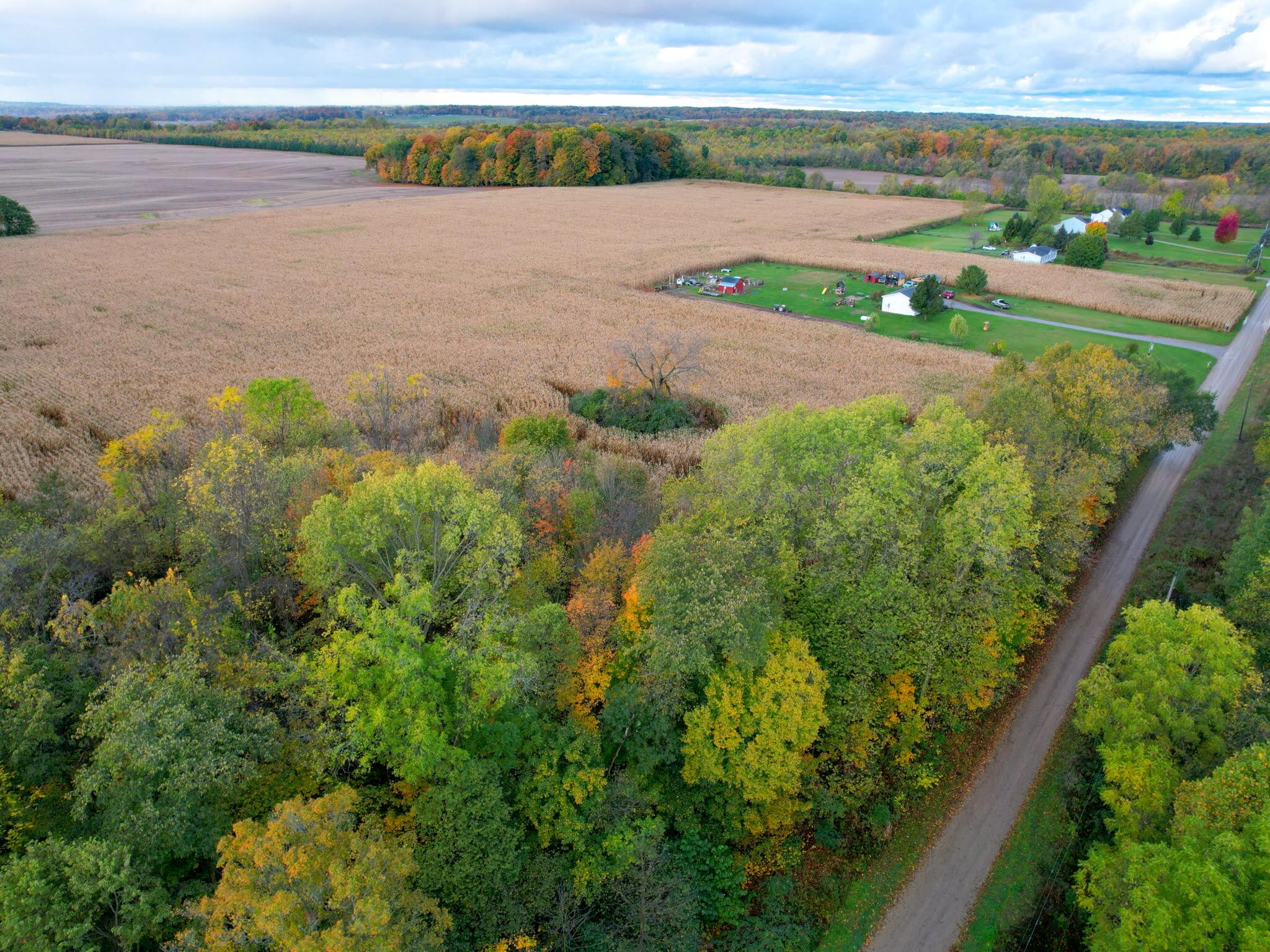 0 Herman Road Berrien Springs, MI 49103 - Photo 4 of 22 Herman Road Farm 45