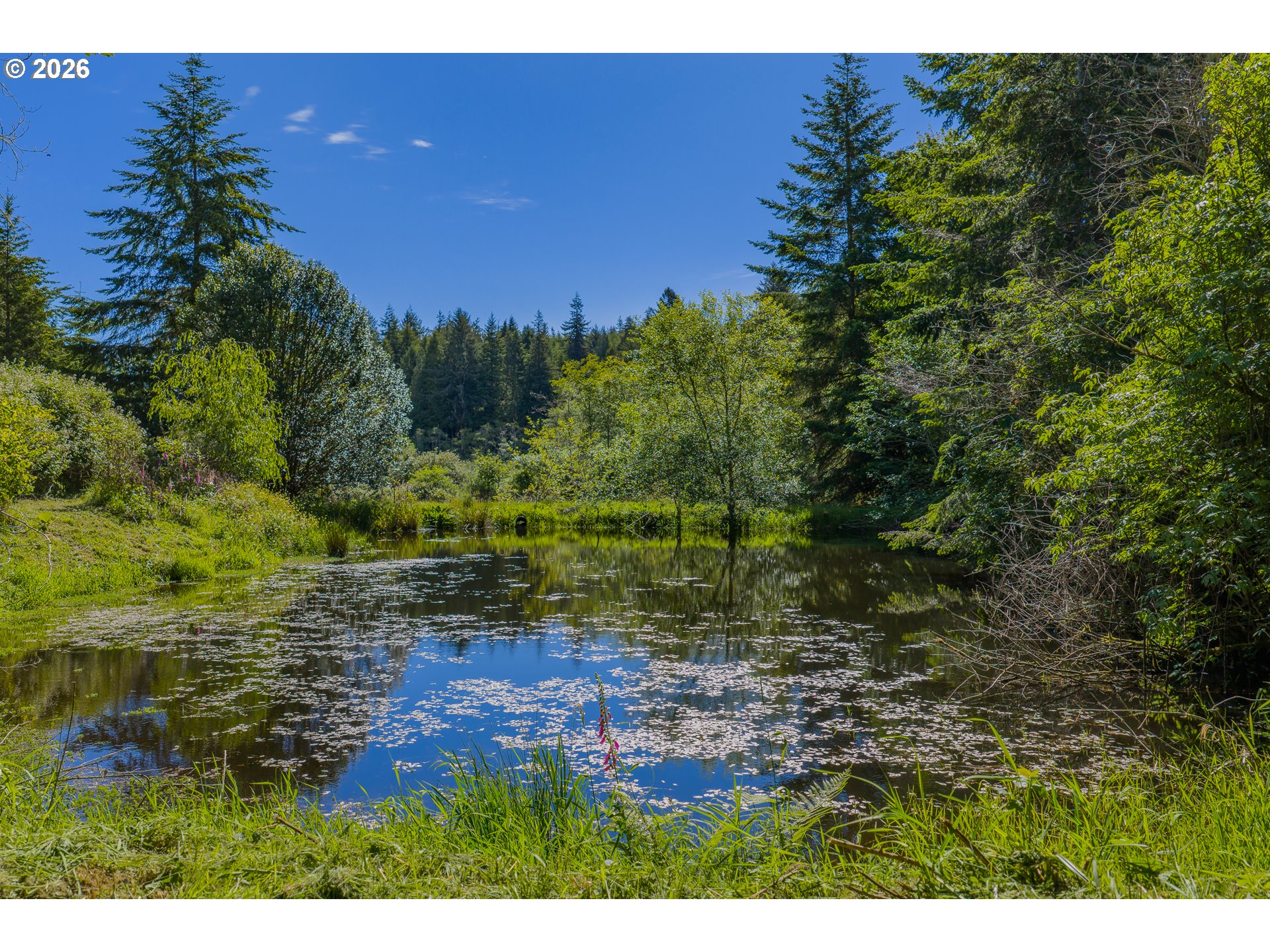 61844 Old Wagon Road Coos Bay, OR 97420 - Photo 13 of 48