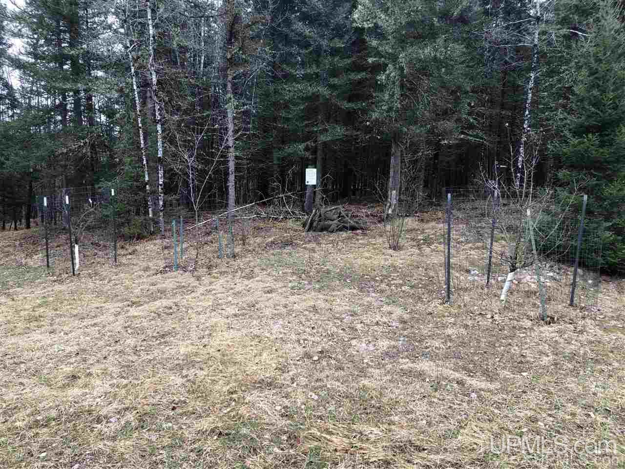 Tbd Turner Road Channing, MI 49815 - Photo 10 of 42