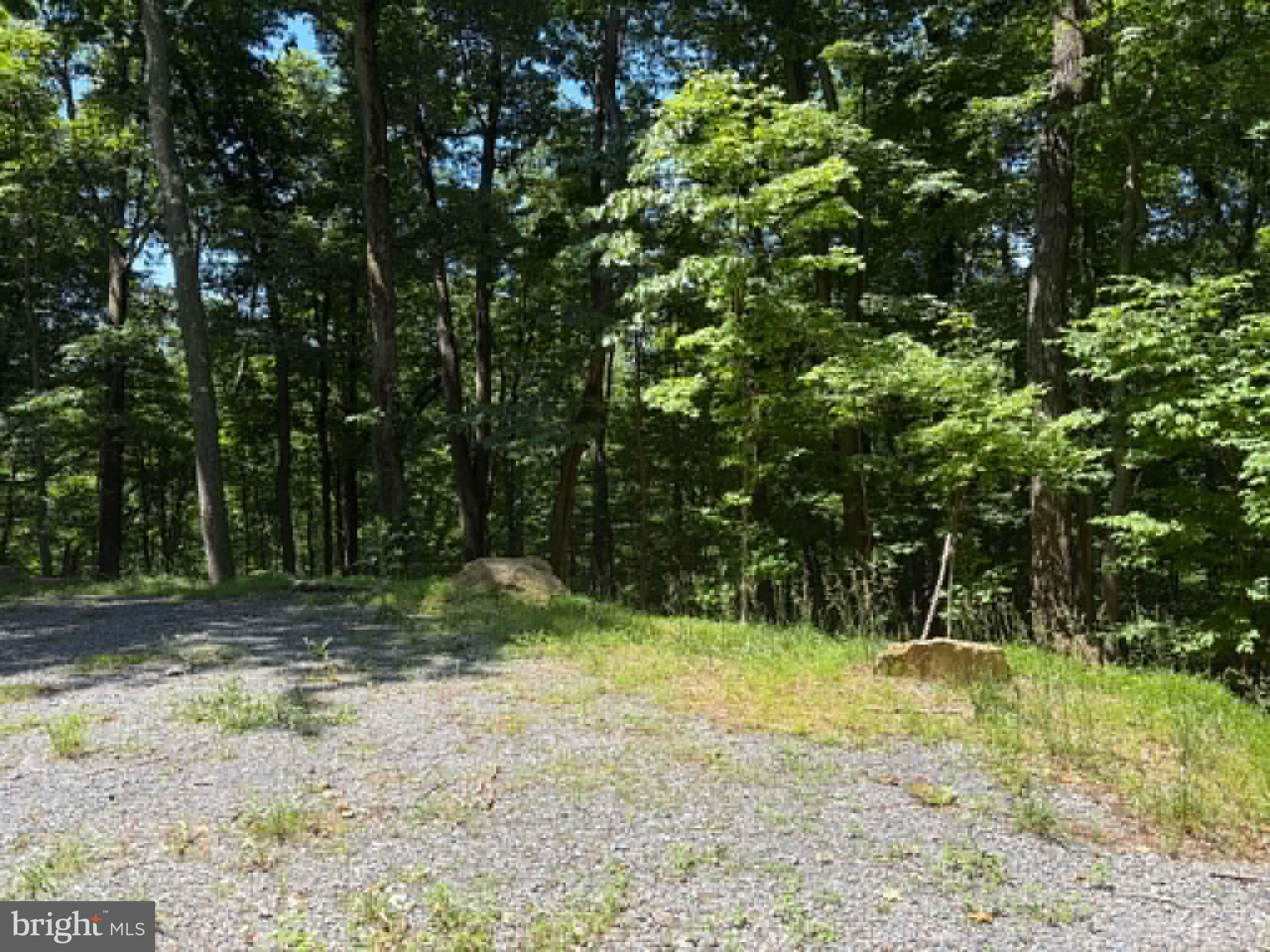 1515 Barnum Road Keyser, WV 26726 - Photo 29 of 64