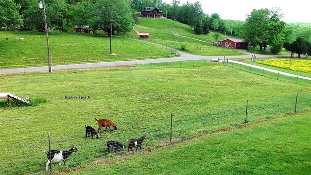 1280 Ideal Valley Road Spring City, TN 37381 - Photo 26 of 50 20183060-25