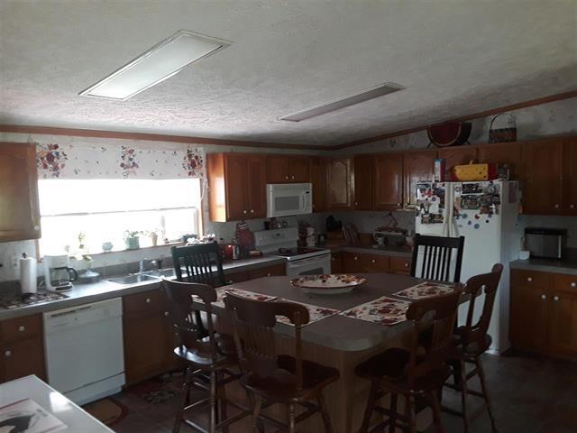 1280 Ideal Valley Road Spring City, TN 37381 - Photo 3 of 50 201830601