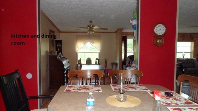1280 Ideal Valley Road Spring City, TN 37381 - Photo 9 of 50 20183060-7