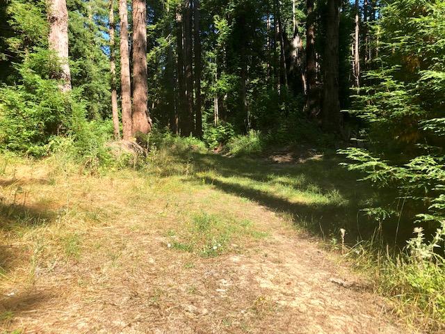 9.25-acre Eggert Road Eureka, CA 95503 - Photo 21 of 29