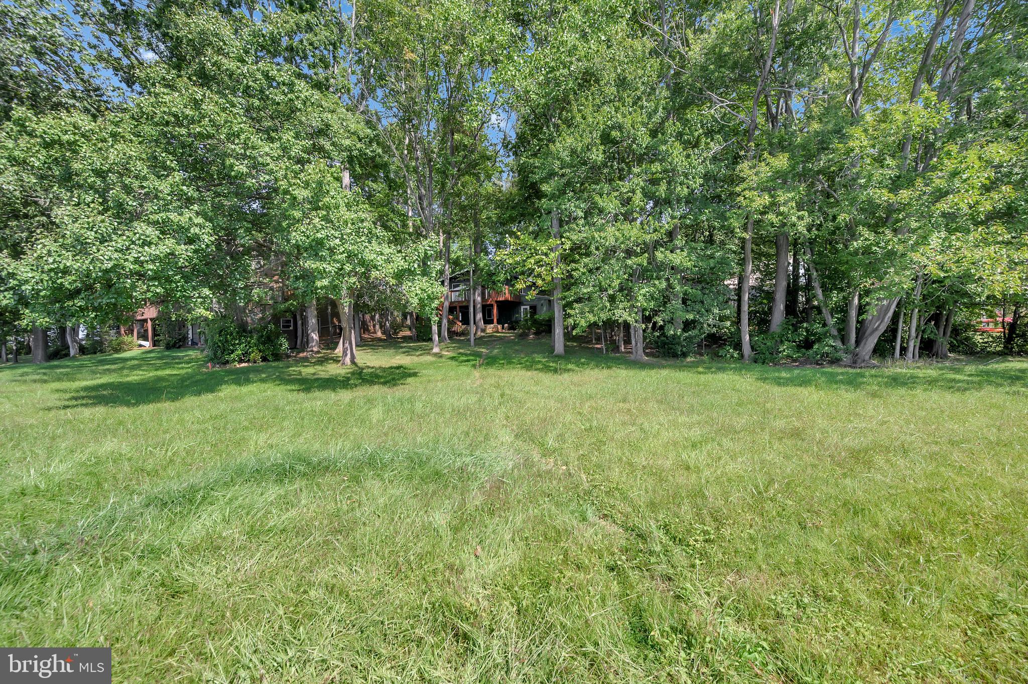 127 Greenspring Road Locust Grove, VA 22508 - Photo 9 of 39 Amazing level yard
