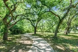 a view of outdoor space with trees all around