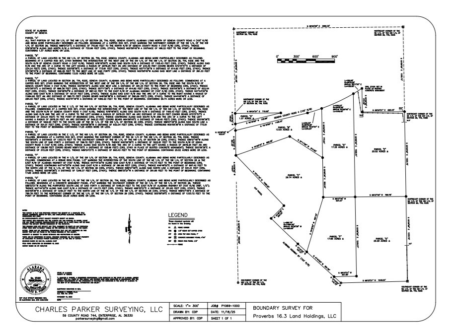 13-acres Goat Hill Road Samson, AL 36477 - Photo 14 of 19