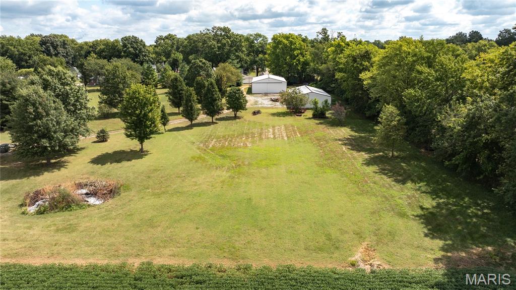 403 West Mill Street Marissa, IL 62257 - Photo 16 of 43