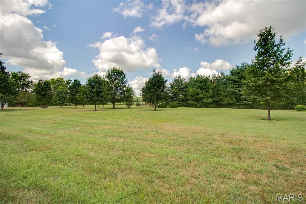 403 West Mill Street Marissa, IL 62257 - Photo 30 of 43