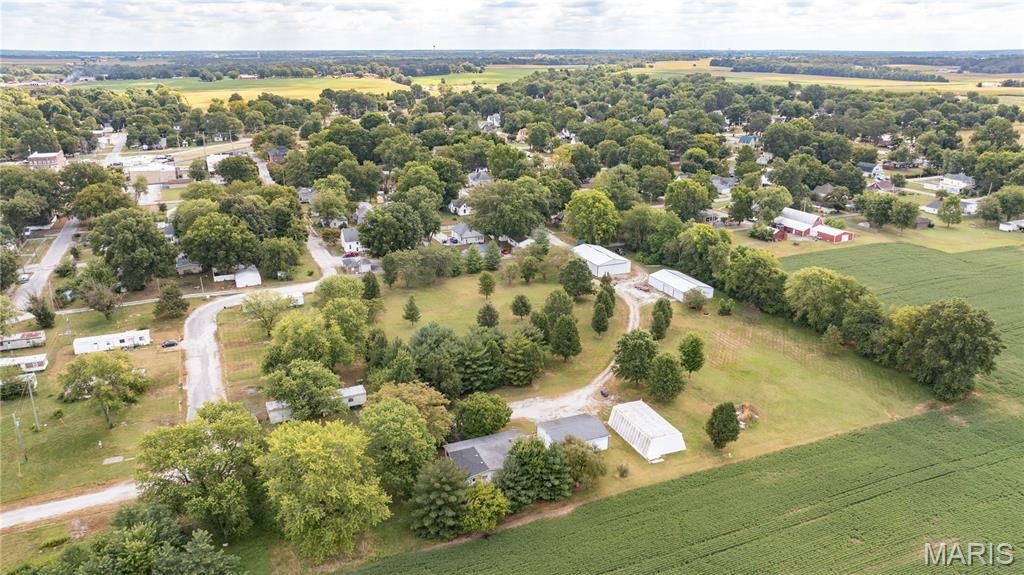 403 West Mill Street Marissa, IL 62257 - Photo 9 of 43