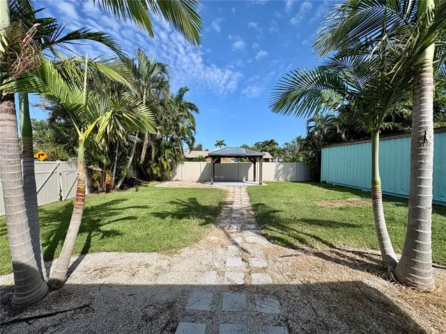 a view of a yard with plants and palm trees