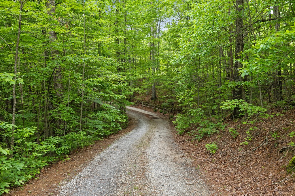 140 Croft Chapel Road Turtletown, TN 37391 - Photo 37 of 37