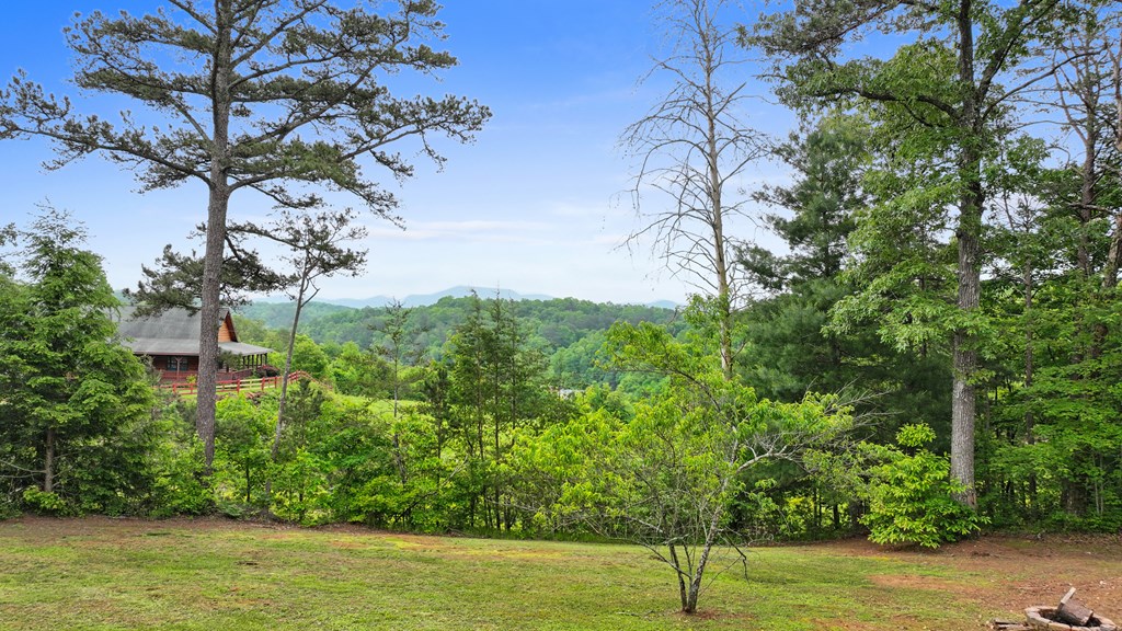 140 Croft Chapel Road Turtletown, TN 37391 - Photo 6 of 37