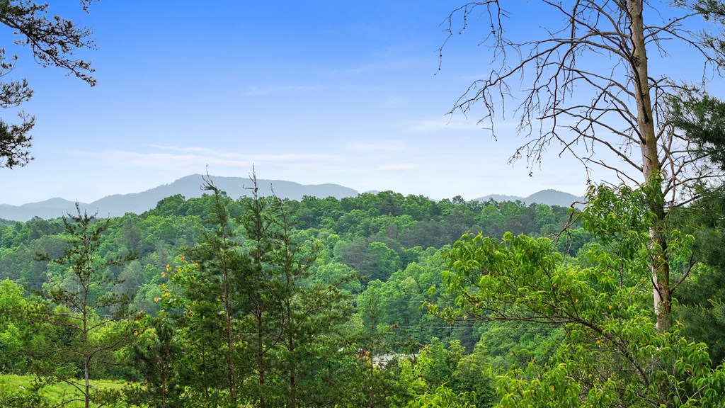 140 Croft Chapel Road Turtletown, TN 37391 - Photo 7 of 37