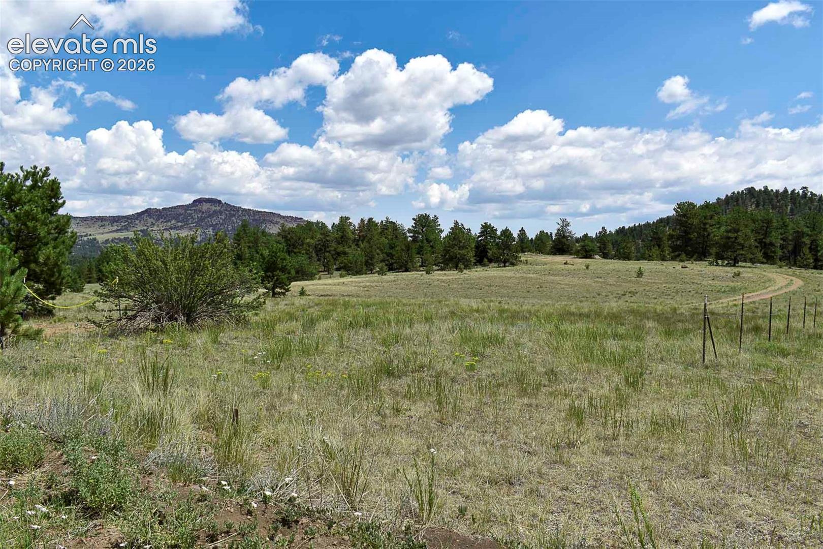 376 Copeland Road Guffey, CO 80820 - Photo 24 of 47