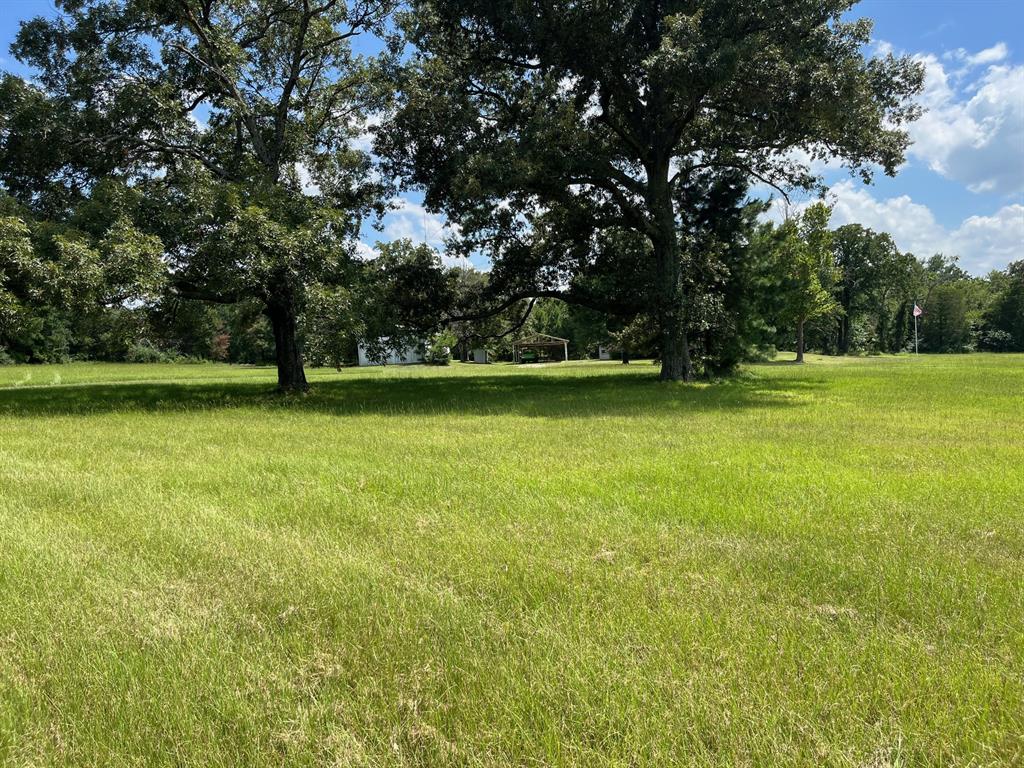 210 Vz County Road 2139 Canton, TX 75103 - Photo 7 of 18 a view of a trees in a yard