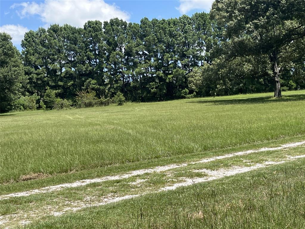 210 Vz County Road 2139 Canton, TX 75103 - Photo 9 of 18 a view of a field with grass and trees