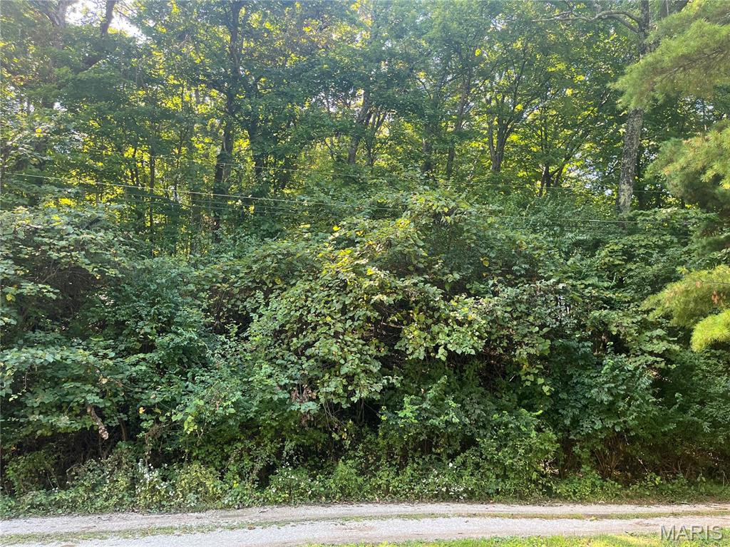 2149 Linnus Drive High Ridge, MO 63049 - Photo 2 of 4