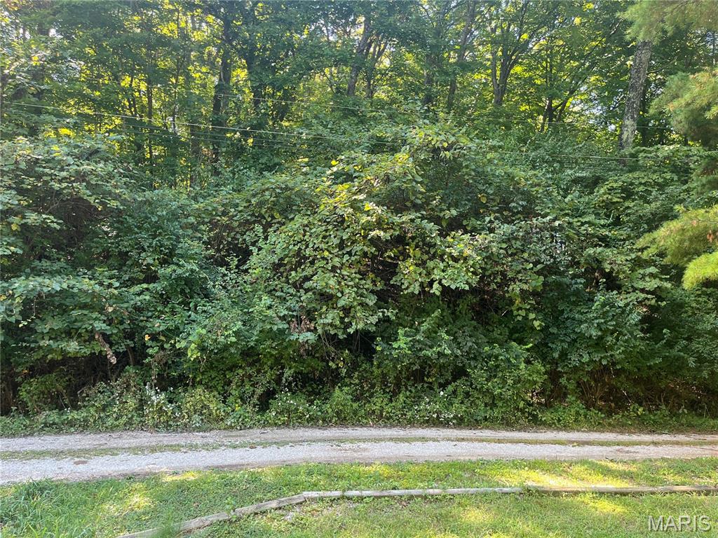 2149 Linnus Drive High Ridge, MO 63049 - Photo 3 of 4