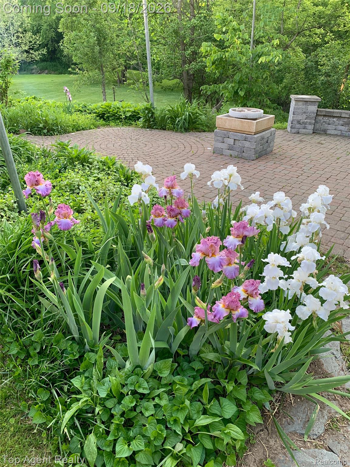 247 Scott Road Smiths Creek, MI 48074 - Photo 63 of 67 IMG_6317.JPEG