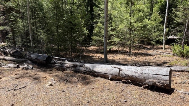 Tbd Tbd Sawyer Mesa Road Tererro, NM 87573 - Photo 29 of 56 Gallery Image 29