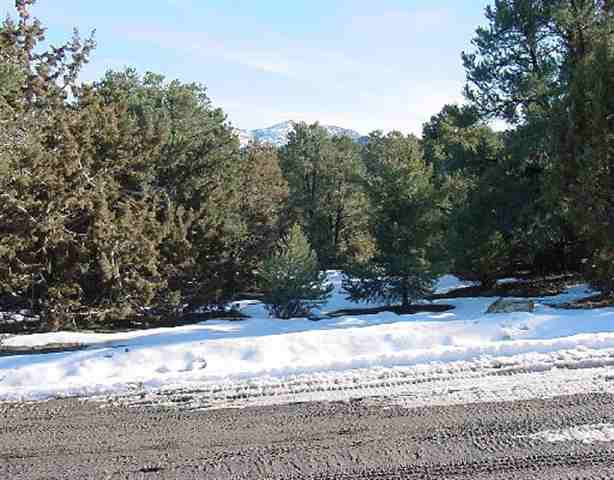 1995 Silverado Reno Nv 89511 Reno, NV 89521 - Photo 1 of 1