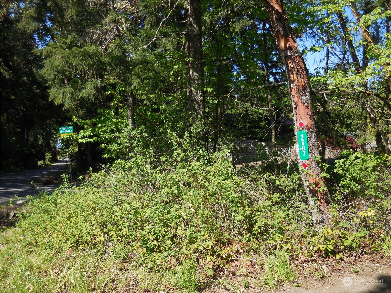 2507 Mountain View Road East Port Orchard, WA 98366 - Photo 6 of 40 Gallery Image 6