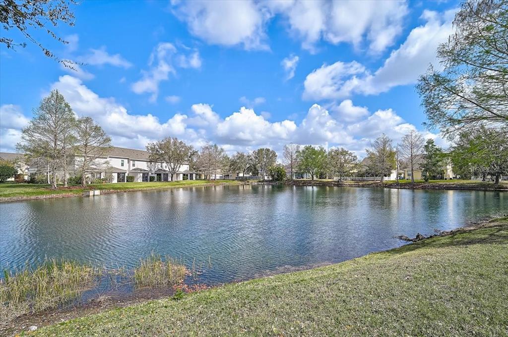 14931 Amberjack Terrace Lakewood Ranch, FL 34202 - Photo 4 of 40