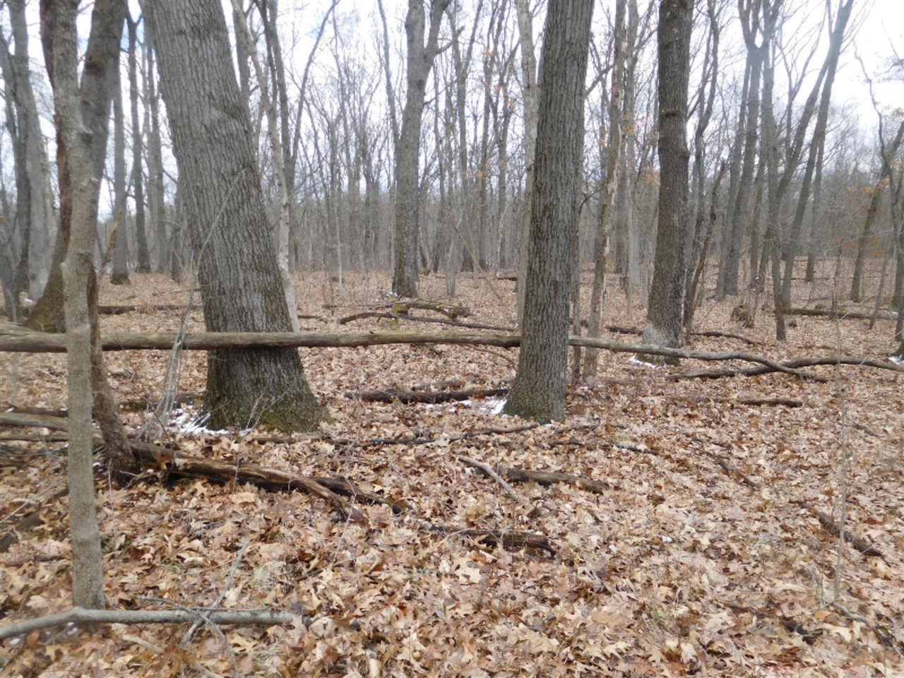 Parcel B 76th Avenue Decatur, MI 49045 - Photo 5 of 10