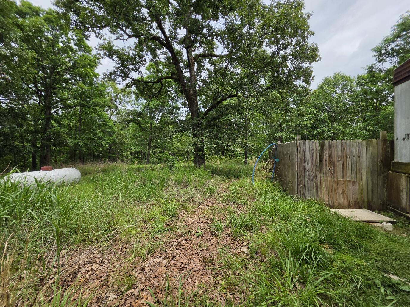 295 Black Oak Road Mammoth Spring, AR 72554 - Photo 3 of 6 20260523_133136