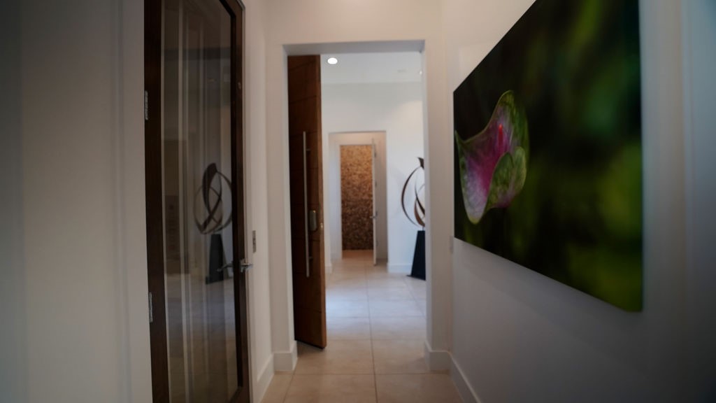 3308 North MacGregor Way Houston, TX 77004 - Photo 10 of 46 Elevator access just off the foyer services all 3 floors