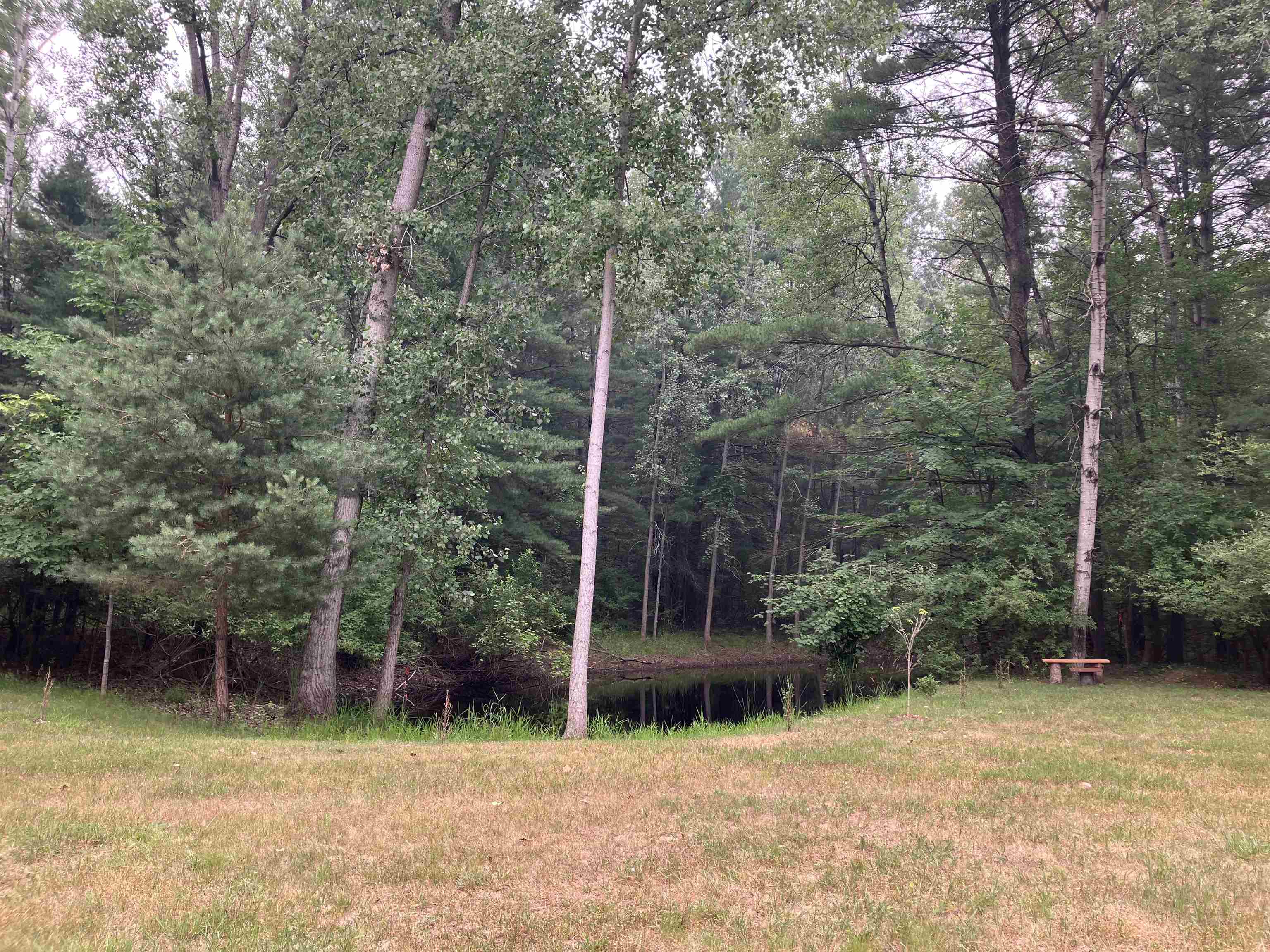 3404 Clendening Road Gladwin, MI 48624 - Photo 8 of 30