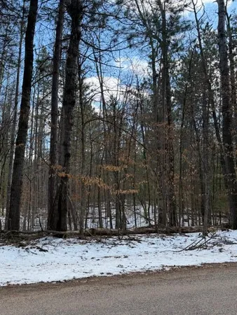 $85,000 | Tbd East Long Lake Road, Danbury, WI 54830