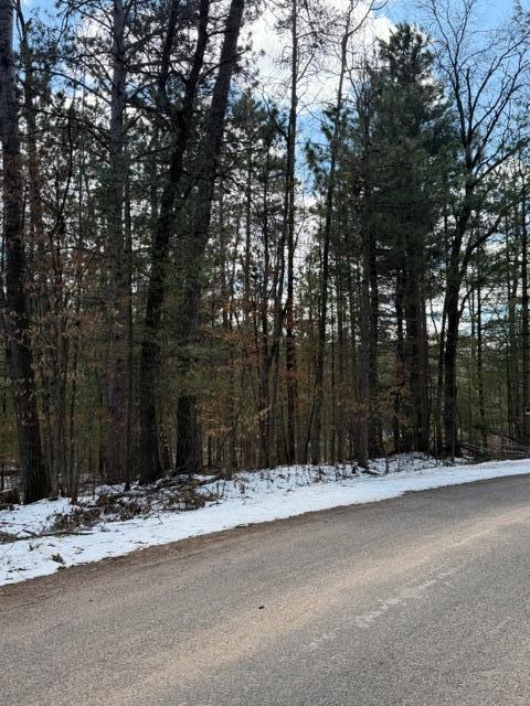 Tbd East Long Lake Road Danbury, WI 54830 - Photo 2 of 10