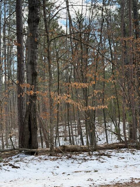 Tbd East Long Lake Road Danbury, WI 54830 - Photo 3 of 10