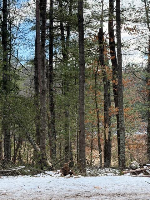 Tbd East Long Lake Road Danbury, WI 54830 - Photo 4 of 10