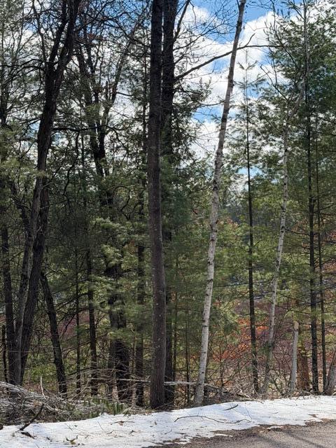 Tbd East Long Lake Road Danbury, WI 54830 - Photo 5 of 10