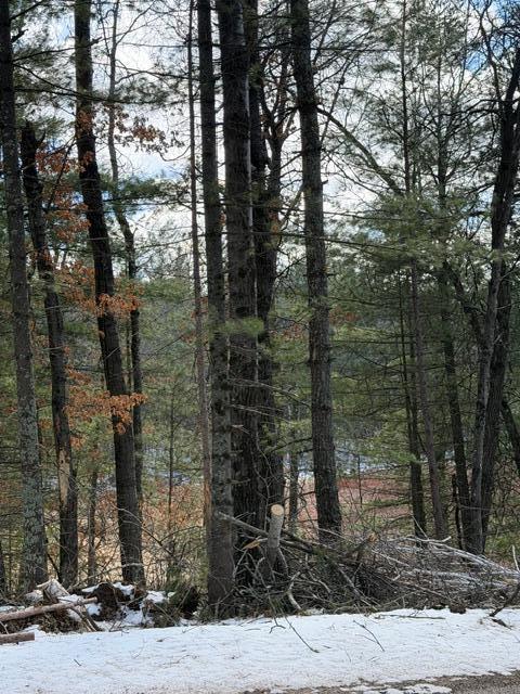 Tbd East Long Lake Road Danbury, WI 54830 - Photo 6 of 10