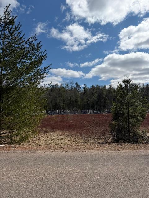 Tbd East Long Lake Road Danbury, WI 54830 - Photo 7 of 10