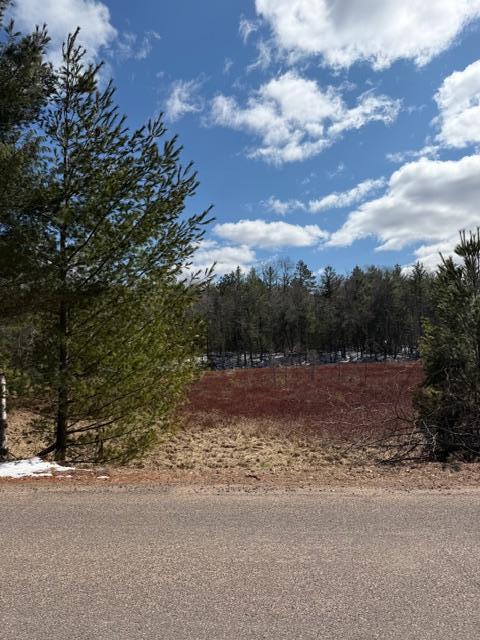 Tbd East Long Lake Road Danbury, WI 54830 - Photo 8 of 10