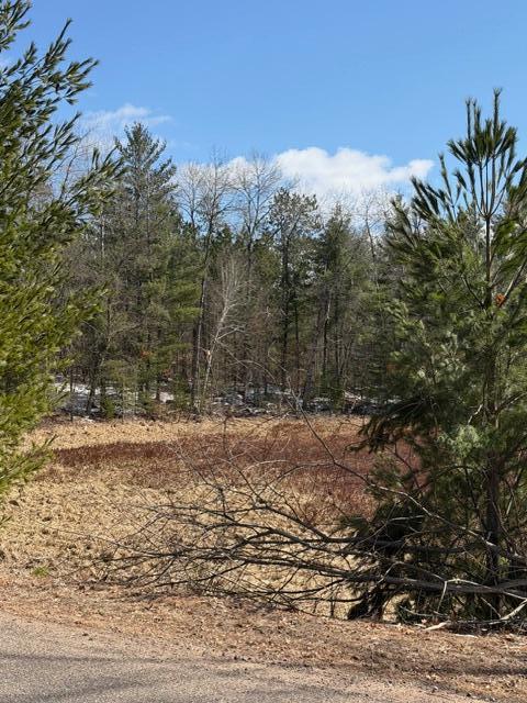Tbd East Long Lake Road Danbury, WI 54830 - Photo 9 of 10